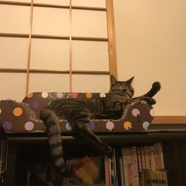 よしっ！