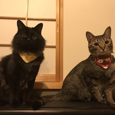 宝物(^^)