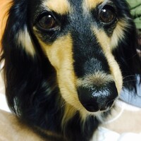 メイ