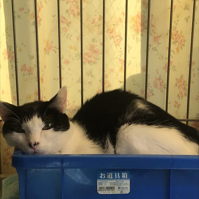 みつる⭐︎のカバー写真