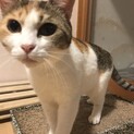 譲渡決定ありがとうございます。