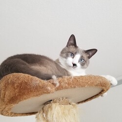 お昼寝するのが大好き