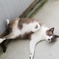 「お昼寝するのが大好き」サムネイル2