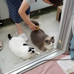 「お昼寝するのが大好き」サムネイル3