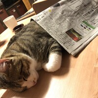 坊