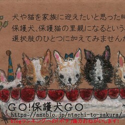 【屋内☆冷房完備】GO！保護犬GO☆大フリマ＠ごてんば サムネイル2