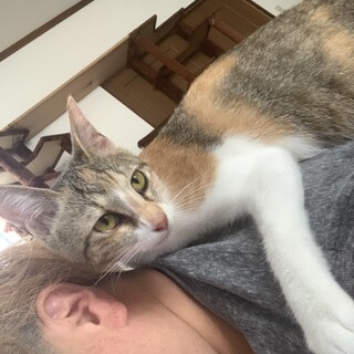 有り難うございました