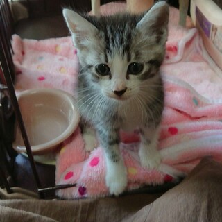 元気いっぱいのコウくん