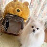 まりや8