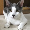 可愛がってもらえてありがとうございます