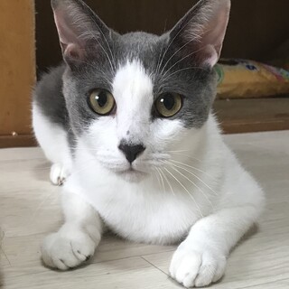 可愛がってもらえてありがとうございます