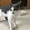 可愛がってもらえてありがとうございます サムネイル4
