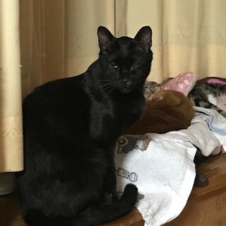 大怪我から復活！穏やかなのん太くん