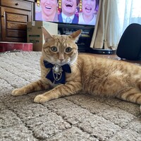 ばろん