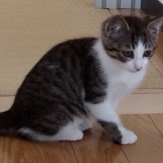 里親決定しました４月末生まれの仲良し兄妹