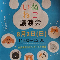 犬猫譲渡会