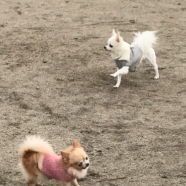 の写真