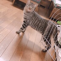 たまる