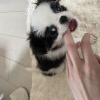 もなか
