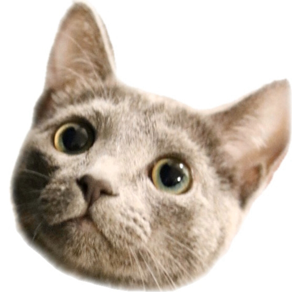 Anneのカバー写真