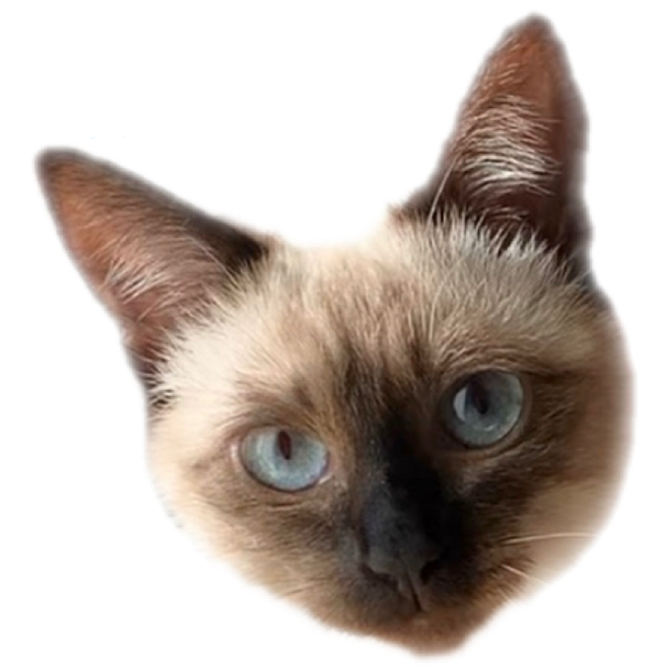 マロンのカバー写真