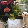 お花が好き。