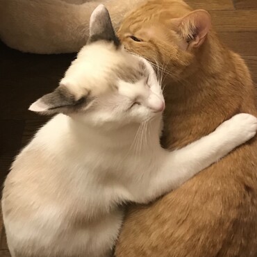 いつも仲良し。