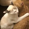 いつも仲良し。