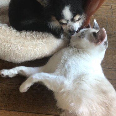 の写真