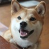 りりちこ