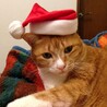 ミーちゃんのクリスマス。