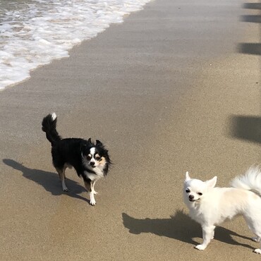 やっぱり海はいいネ