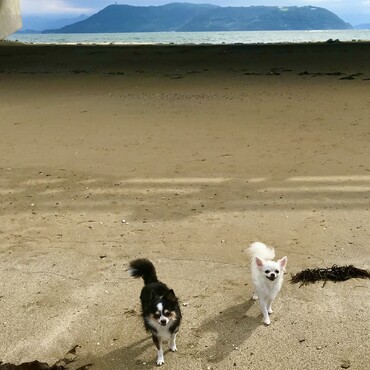 の写真