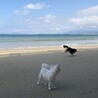 の写真
