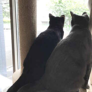 もうすぐ1歳になるふたり。いつも仲良し。