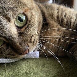 体重測定　礼儀にうるさいミリ