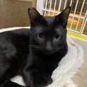優しい性格のダイちゃん