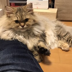 我がうちに来て今日で4ヶ月