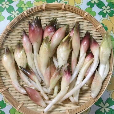 長梅雨は嫌だけど…これ、お好きですか？食べて嫌なことは忘れよう！