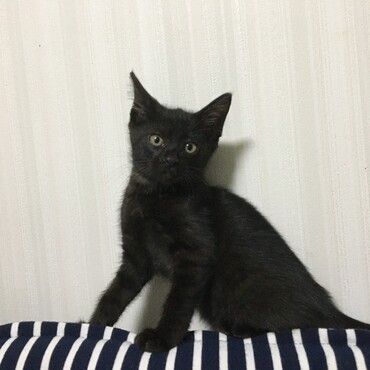 2ヶ月が過ぎました。