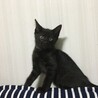 2ヶ月が過ぎました。