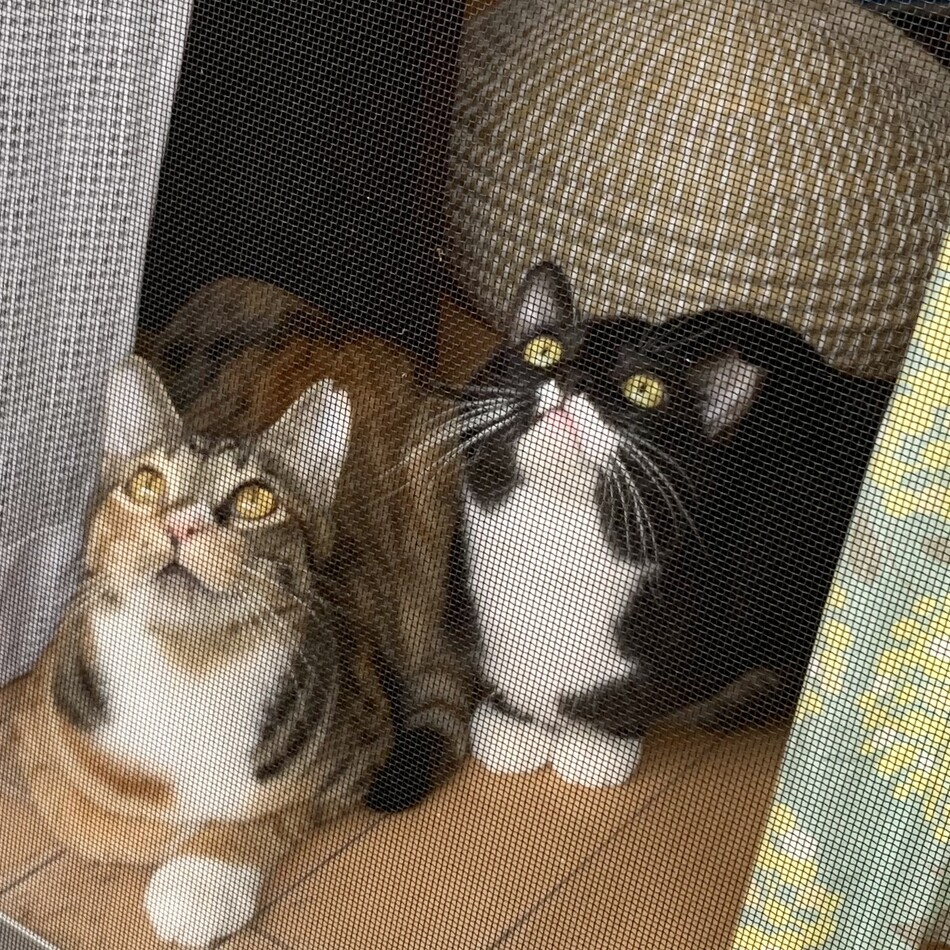朱（アケ）のカバー写真