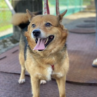 家族に迎えてください。
