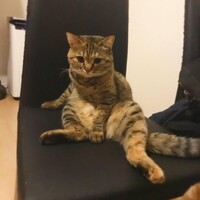 小梅