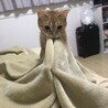 の写真