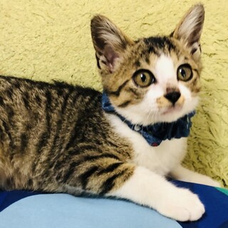 人が大好き甘えん坊さん♡