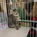 家族にして頂けたら幸いです。