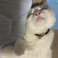 銀時