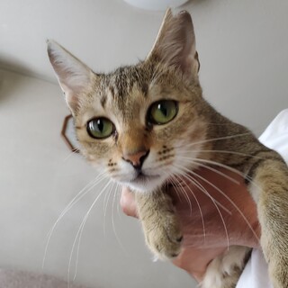 みきちゃんみんなを楽しませてくれる可愛い子