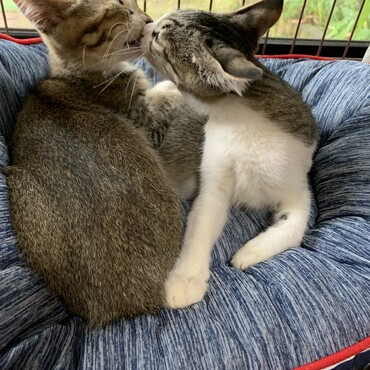 ラブラブな2人